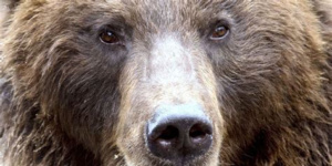 ours