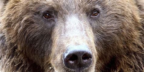 ours