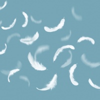 Air Air