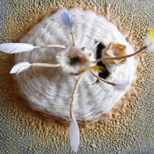 ruche-laineuse-02-site