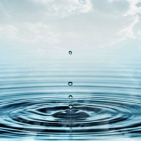 eau eau