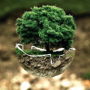 terre-arbre terre-arbre